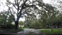 A drive through Savannah’s storm-battered streets