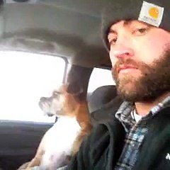 Réaction géniale d'un chien tapé par son maître