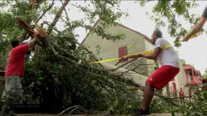 Matthew deja 4 muertos en una Florida que intenta volver a la normalidad