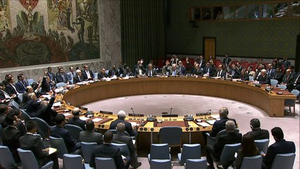 Rússia veta na ONU rascunho de resolução sobre Aleppo