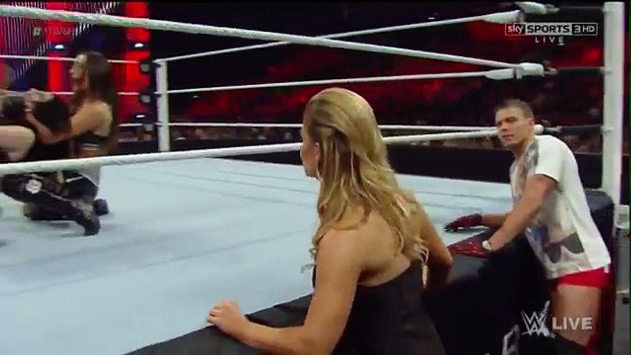 Brie Bella vs Paige