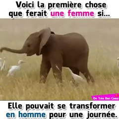 Voici la première chose que ferait une femme si elle pouvait se tranformer en un homme pour une journée