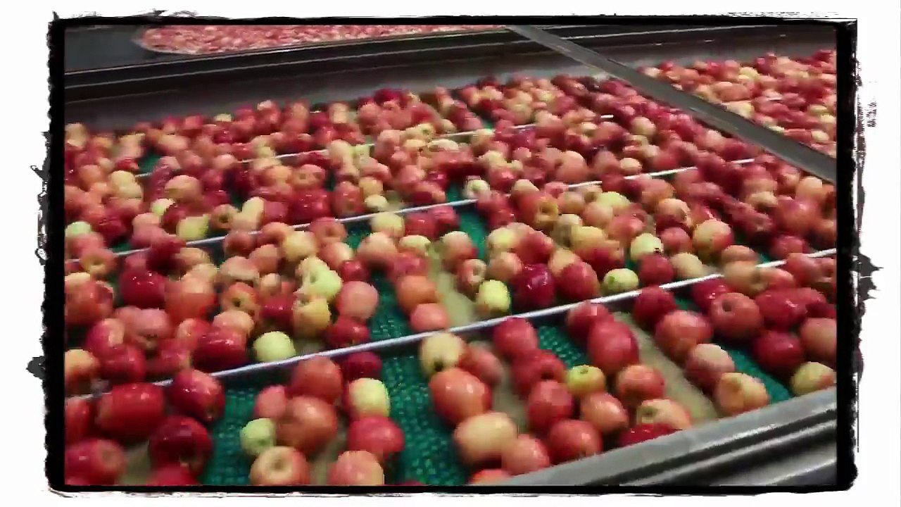 how to process packing apple with machine modern hi tech