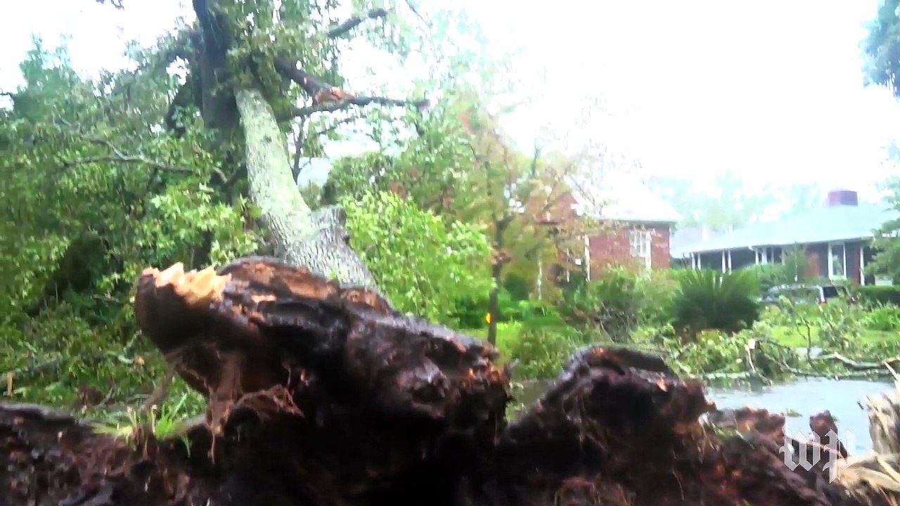 After the storm, the cleanup begins