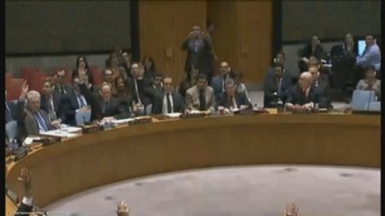 Télécharger la video: Rusia veta resolución sobre Siria pero se queda sola en Consejo de Seguridad