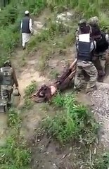 Terrorist kild by Indian army in Jammu and Kashmir in India breaking newsr