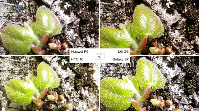 Camera Test- Huawei P9 vs LG G5 vs HTC 10 vs Galaxy S7 – The Big Shout-Out