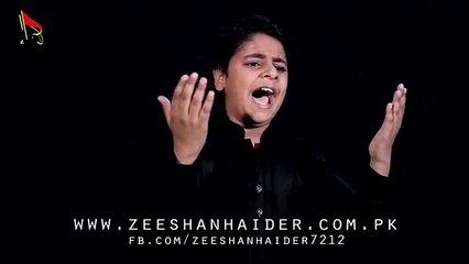Tuu Na Roo Baba Noha By Ali Haider Brother Of Zeeshan Haider 2016-17