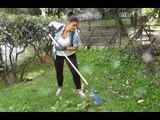 Napoli - I volontari ripuliscono il parco dei Colli Aminei (08.10.16)