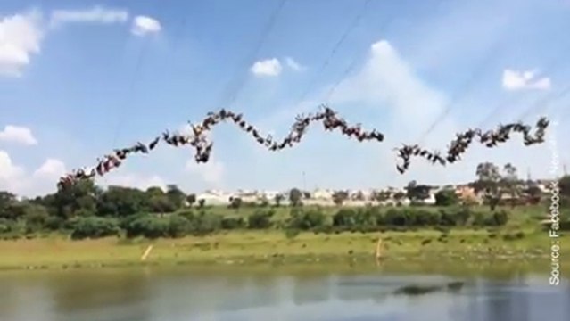 Saut à l'élastique en groupe !