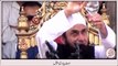 Maulana Tariq Jameel ki aik khoobsurat misal