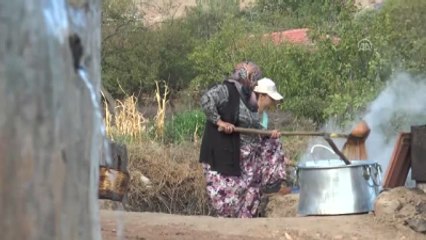 Köylerinde 200 Yıldır İmece Usulü Pekmez Yapıyorlar