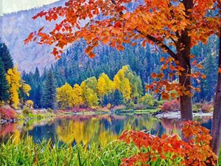 LAJSO - Mea maxima culpa (1974)