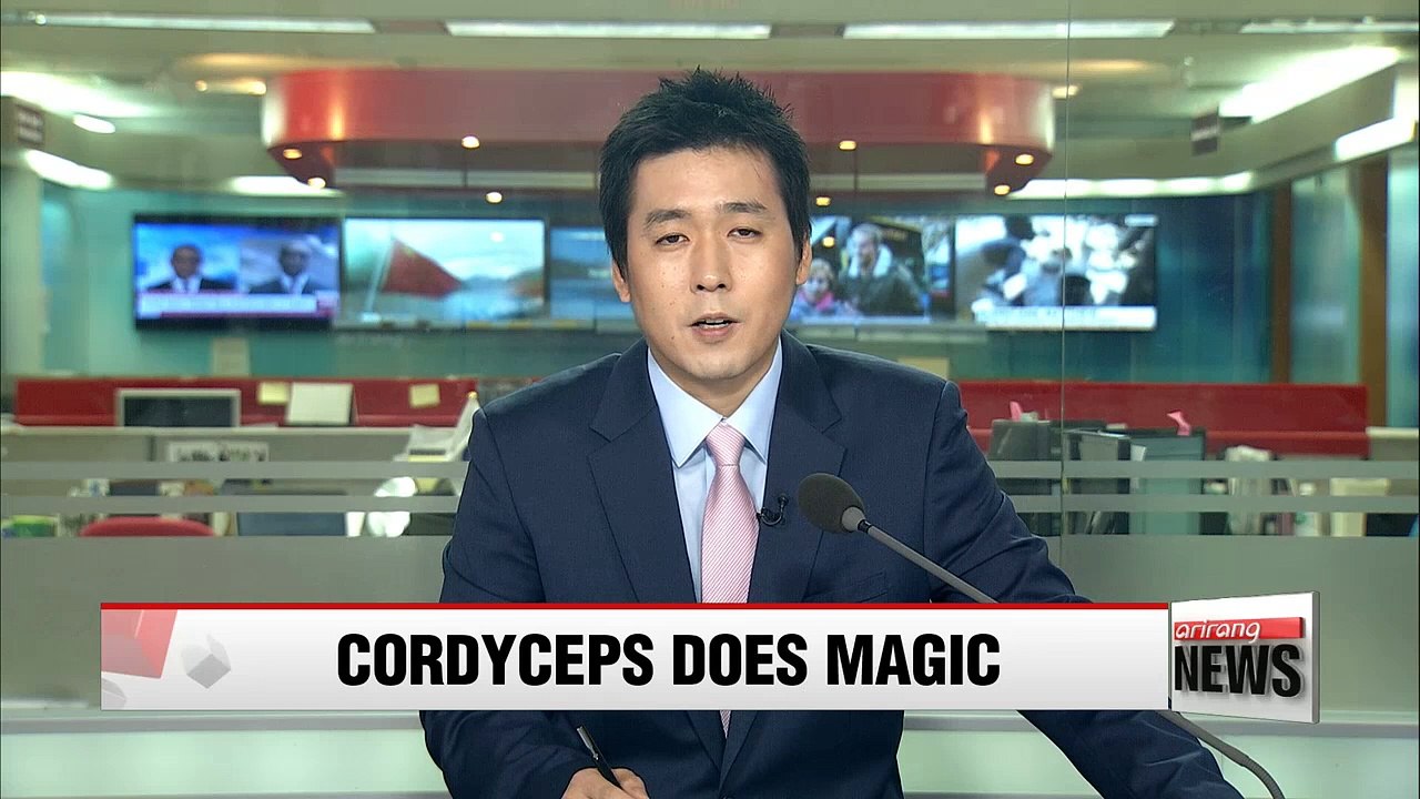 Cordyceps mushroom could help protect humans from flu