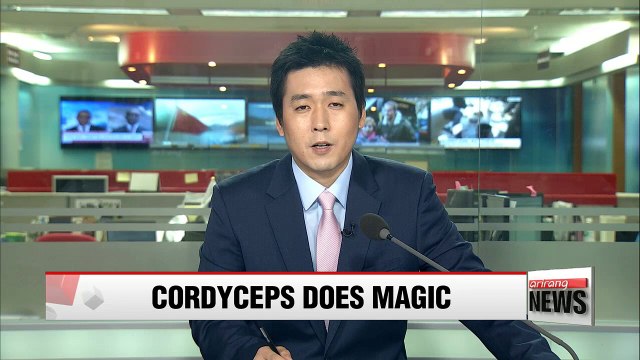 Cordyceps mushroom could help protect humans from flu