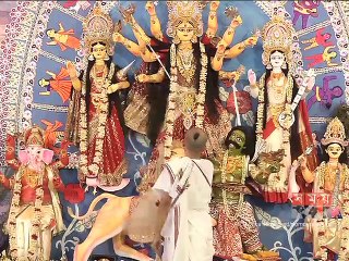 রামকৃষ্ণ মিশনে কুমারী পূজা অনুষ্ঠিত