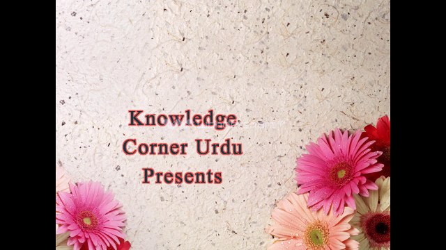 Anday k Faiday| aik anda rozana k faiday k ap khud hairan reh jain| Anday k faiday in Hidi Urduانڈے کے فائدے