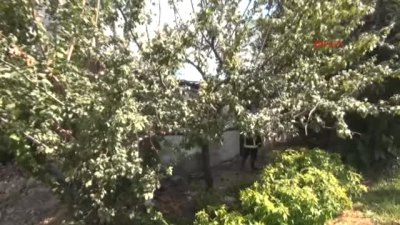 Antalya Boş Gecekondu Kül Oldu