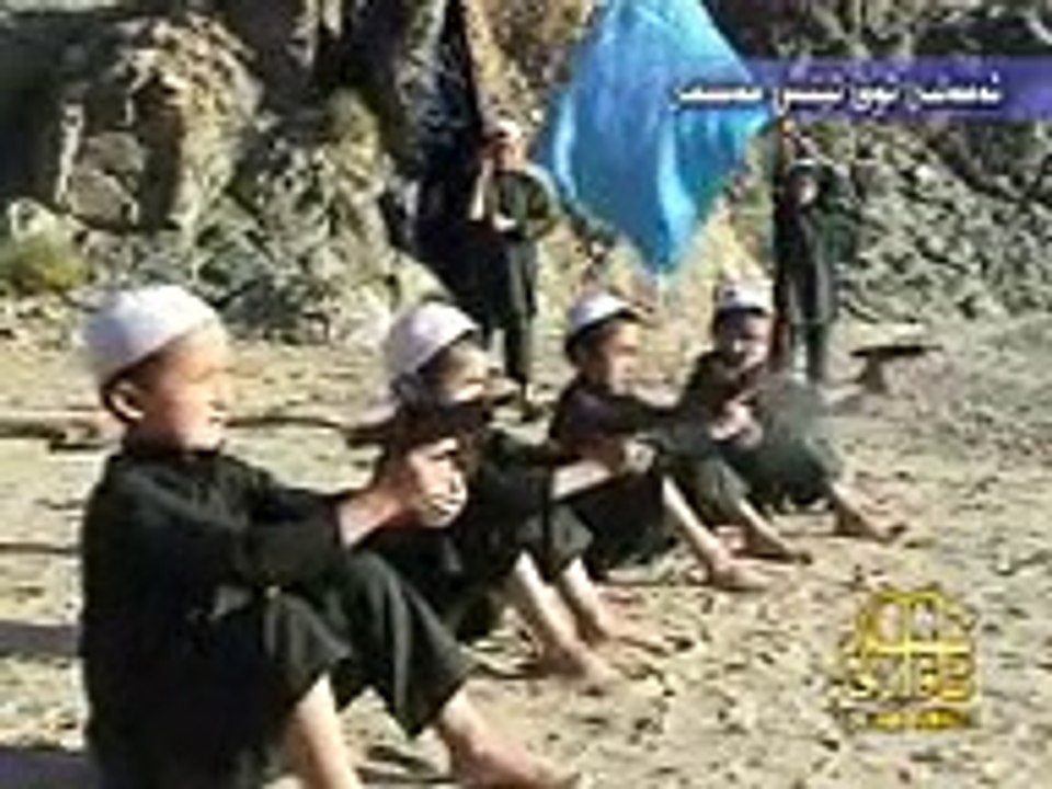 Firing by Pathan