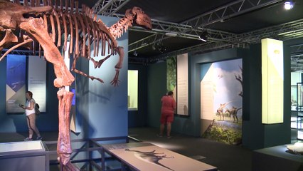 Valencia recorre la historia de los dinosaurios