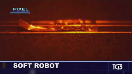 Robot senza motore che funzionano con la luce