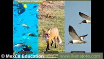 Classification of Living Organism - Five Kingdom System - fun learn