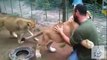 incredible friendship between wild animals and humans