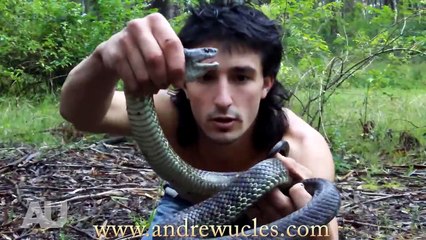 Wild Animals Caught Barehanded