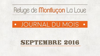 Un mois au refuge : septembre 2016