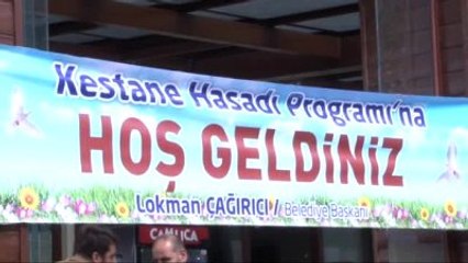 Kestane Bahçesi?nde Hasat Günü