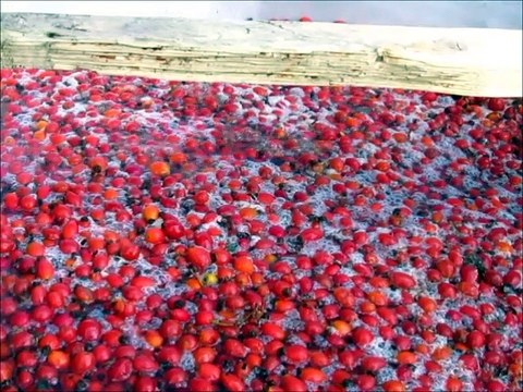 Odun Ateşinde Kuşburnu Reçeli Nasıl yapılır?