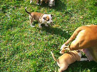 video du 09.10.16 de la p'tite famille au complet