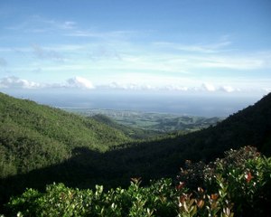 - Frico Labelle - Fifi mo gaté