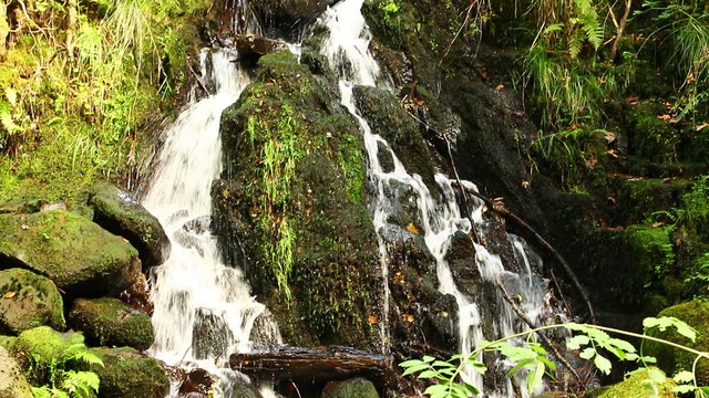 Cascades du SAUT du BOUCHOT - les VOSGES - Balades en France - Guy Peinturier