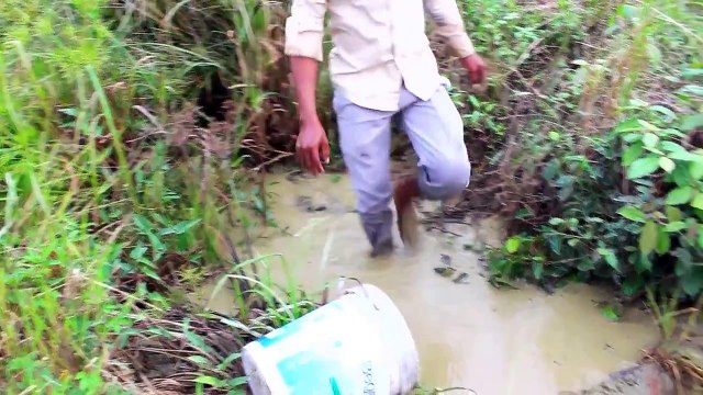 Net Fishing In Battambang - Khmer Cast Net Fishing - Cambodia Traditional Fishing (P10)