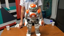 Nao, le robot star du village des sciences