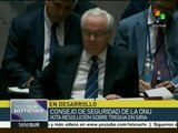 Consejo de Seguridad de ONU rechaza propuesta rusa de paz en Siria