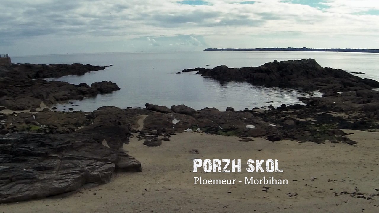 2017 Land art pour nos amis politiques bretons * Trigone Production