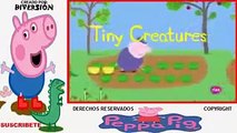 ᴴᴰ Peppa Pig ♫ Capitulos Completos En Español latino new ✔ Peppa pig Español Nuevos Episodios new2