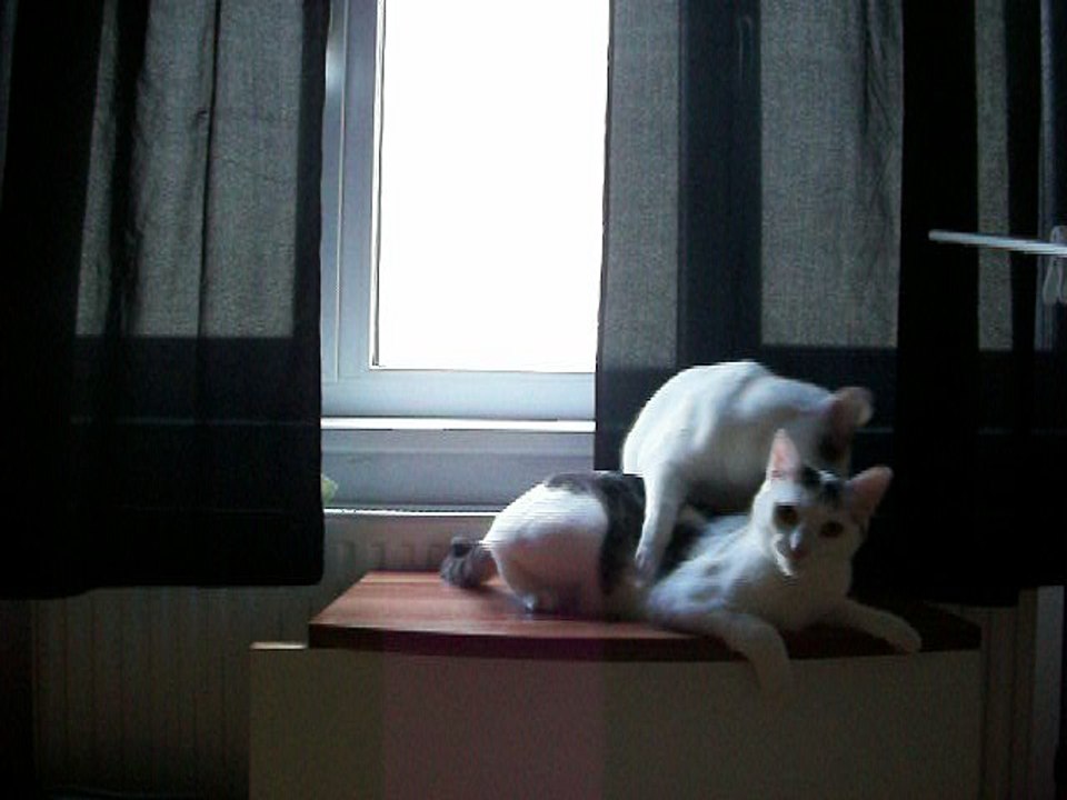 Harvey und Vinzent am 09.10.2016