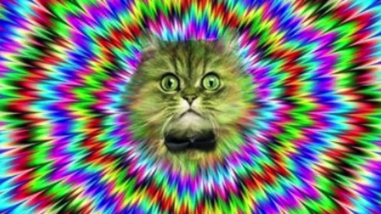 7 histoires de survie incroyables