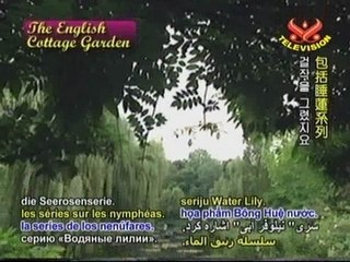 Nature's Beauty English Cottage Garden