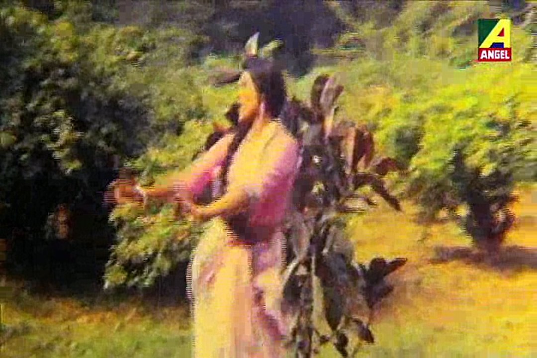 Pala te jaao