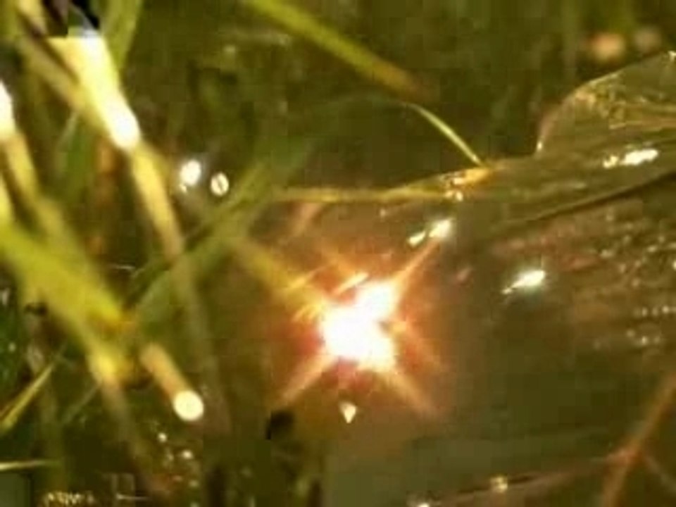 TSZX feat Corn Head - Juicy love