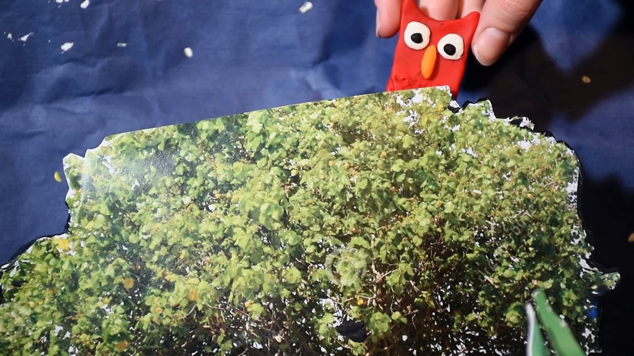 Les Comptines de Peppa Pig | Coucou Hibou - Comptines pour les petit à la Titounis