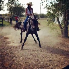 A girl and her horse are unleashed in a folk dance