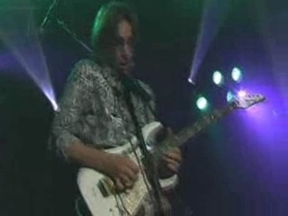 16 - g3 - little wing