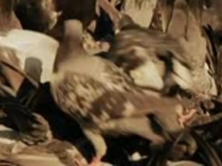 Bobby Burns ft Casablanca Connect - From Holland