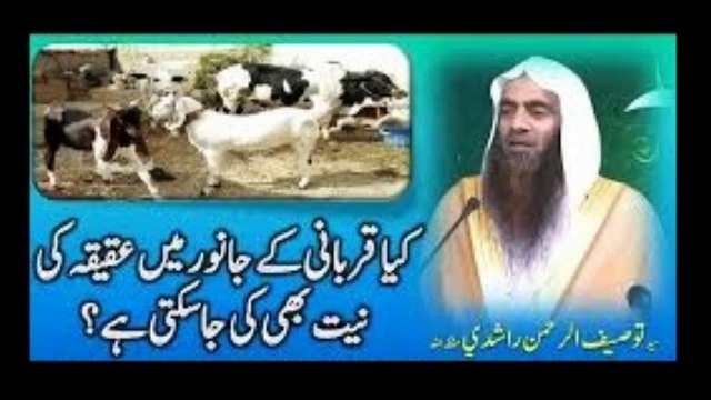 Kya Qurbani Ke Janwar Me Aqeeqah Ki Niyat Bhi Ki Ja Sakti Hai By Syed Tauseef Ur Rehman