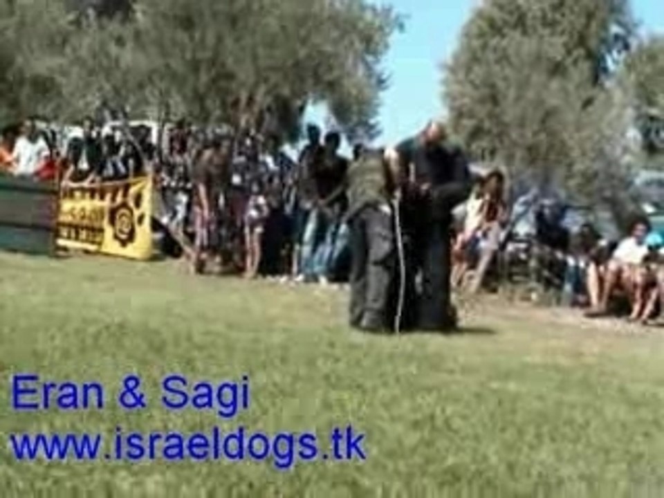 K9-lara-knpv-malinois-dog-attackonleg